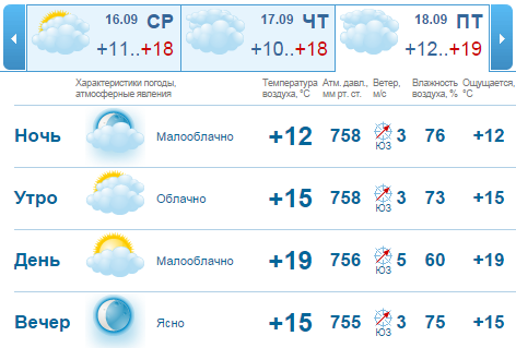 Погода на рабочую неделю в Нижнем Новгороде: бабье лето 2