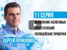 Выявление налоговых преступлений. Полицейские проверки