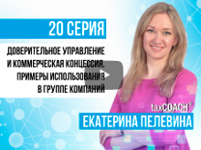 Доверительное управление и коммерческая концессия. Примеры использования в группе компаний