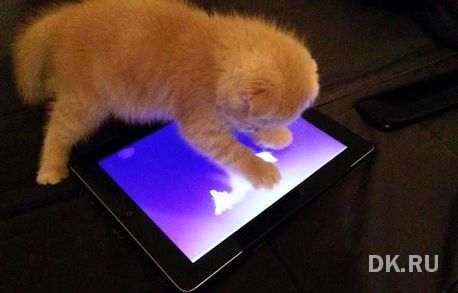 Главные новости недели в Нижнем Новгороде: продуктовое эмбарго, вузы закрывают филиалы 2 Главные новости недели в Нижнем Новгороде: продуктовое эмбарго, вузы закрывают филиалы 2