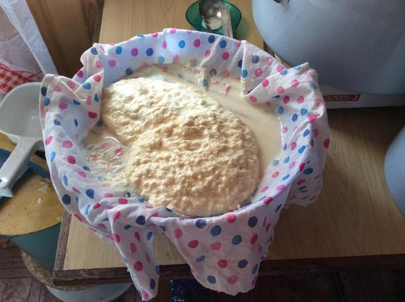 В ответ на санкции уральские випы решили самостоятельно готовить сыр
 1