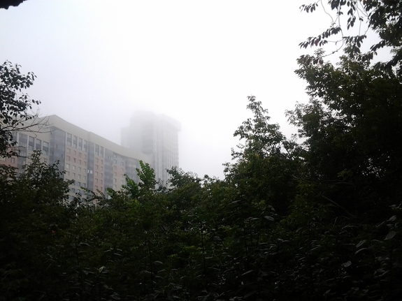 Из-за тумана в Кольцово задержано более 40 рейсов
 1