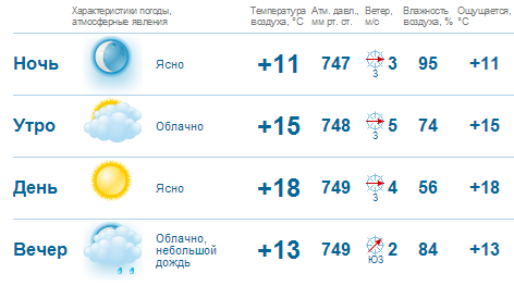 В Нижнем Новгороде в выходные будет прохладно и дождливо 1