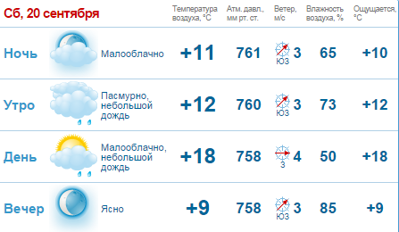 В выходные в Нижнем Новгороде потеплеет 1
