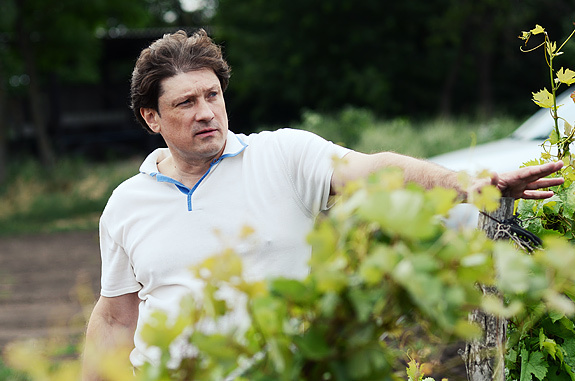 Валерий Тройчук, УК «Донвинпром»: вдохнуть новую жизнь в донские виноградники 1