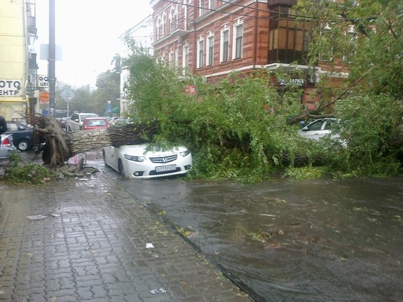 Итоги недели: Ростовская область считает приток инвестиций из Сочи и ущерб от урагана 6