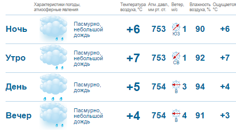 В конце рабочей недели в Нижнем Новгороде выпадет снег 1