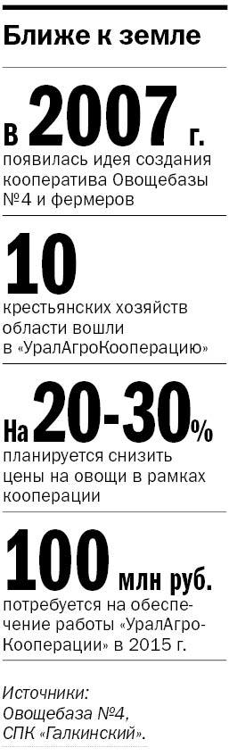 Свердловские фермеры и Овощебаза №4 создали «УралАгроКооперацию» 1