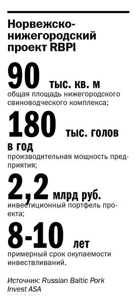 В регионе начнут производить свинину с норвежским акцентом  3