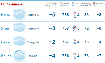 Выходные в Нижнем Новгороде будут пасмурными и снежными 1