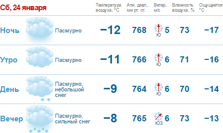 В Нижнем Новгороде будет снежная погода в выходные 1