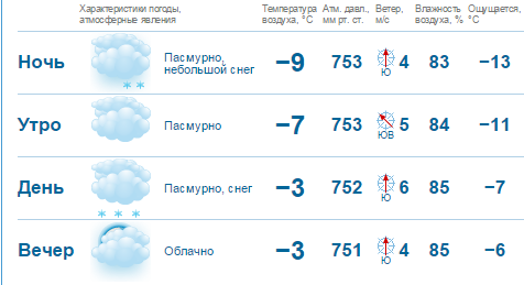 В выходные в Нижнем Новгороде ожидается пасмурная и снежная погода 1