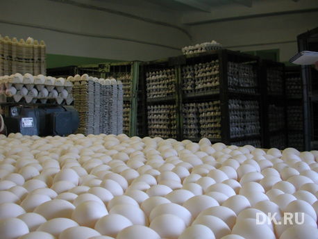 Итоги недели: в Екб заходит новосибирская сеть, экс-команда Банка24.ру запустила «Точку» 7 Итоги недели: в Екб заходит новосибирская сеть, экс-команда Банка24.ру запустила «Точку» 7