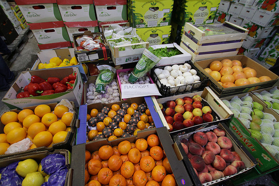 «Овощебаза №4» предложила построить агротехнопарк в Курганской области 1