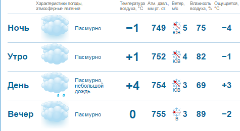 Погода на выходные в Нижнем Новгороде: пасмурно и дождливо 1