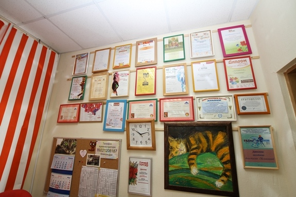 Как Анастасия Овсянкина завела «Полосатого кота» в Екатеринбурге 5