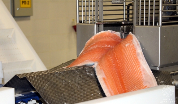 В Нижнем Тагиле выставили на продажу рыбокомбинат 1