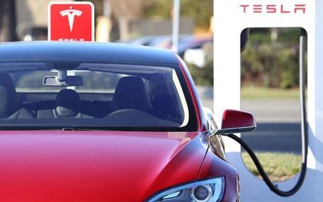 Топ-10 самых экологичных супермаркетов мира 11