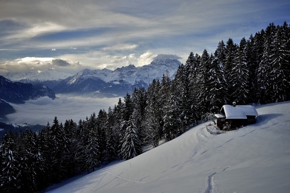 30 уютных домов, построенных своими руками 14 30 уютных домов, построенных своими руками 14