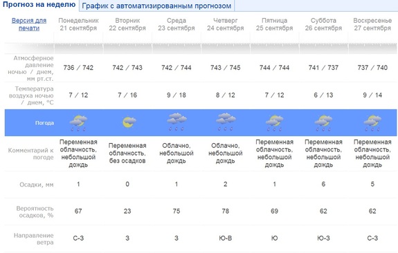 Екатеринбург погода на 10 дней точный 2024