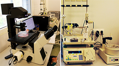 Девять новых производств, запущенных на этой неделе 1