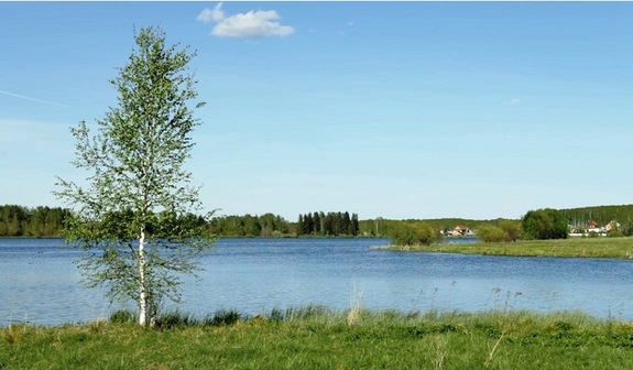 «На въезде в город будет паралич»: Коттеджи в северном пригороде добавят мегаполису пробок 11 «На въезде в город будет паралич»: Коттеджи в северном пригороде добавят мегаполису пробок 11