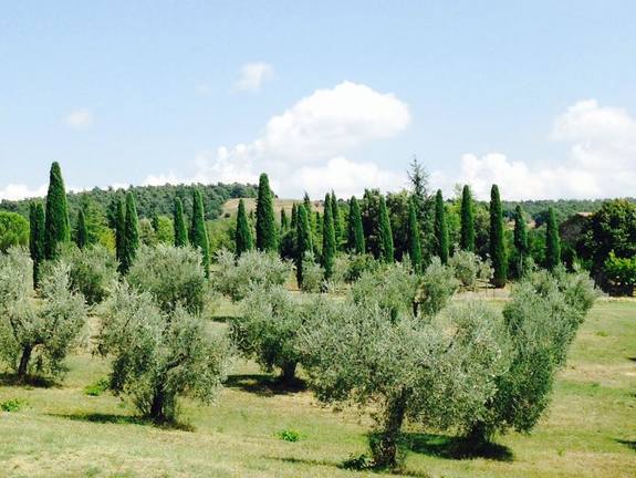 Кирилл Южаков: «В Европе мы опасались подвохов, обвинений или открытой неприязни»  5