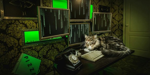 Порог вхождения. Как построить бизнес на квестах и окупить его за два года 9