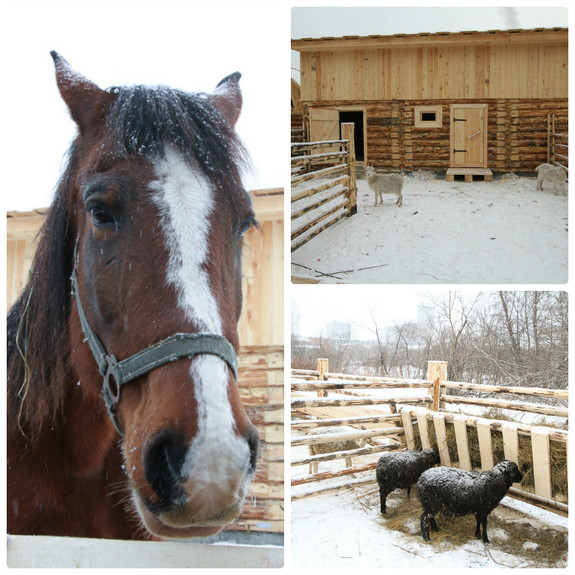 «Оторвать детей от айфонов». Под Екатеринбургом открывается Парк сказов / ФОТО 4