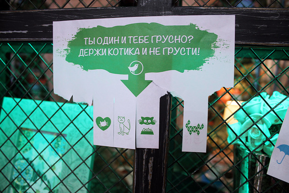 Ресторанная критика Якова Можаева: ресторан грузинской кухни «Счастье» 6