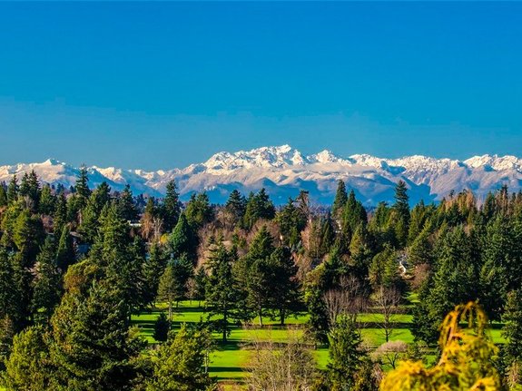 Глава Microsoft продает семейный особняк с любимым креслом / ФОТО 4