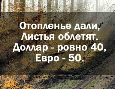 Смех сквозь слезы: как интернет реагирует на падение российской валюты? 1