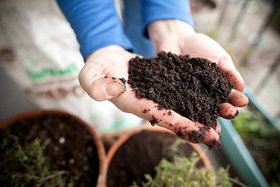 Почему пищевые тренды 2016 года задают наши бабушки / ОБЗОР 6