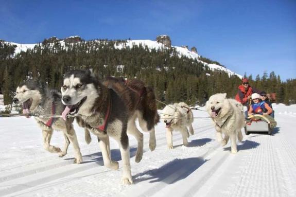 Вместо Турции и Египта: 11 нескучных идей зимнего отдыха 4