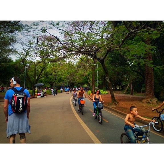 «Вирус Зика? Вы о чем?»: чего реально стоит бояться в Бразилии 9