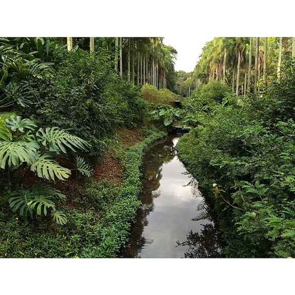 «Вирус Зика? Вы о чем?»: чего реально стоит бояться в Бразилии 10