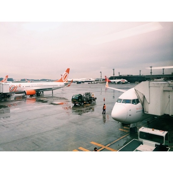 «Вирус Зика? Вы о чем?»: чего реально стоит бояться в Бразилии 17