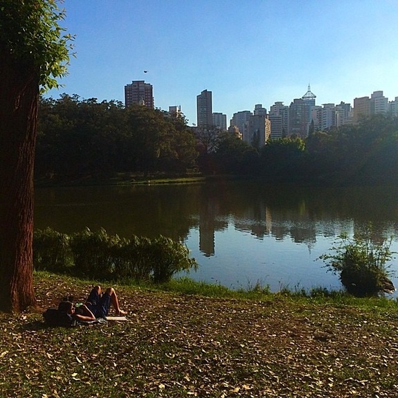 «Вирус Зика? Вы о чем?»: чего реально стоит бояться в Бразилии 19