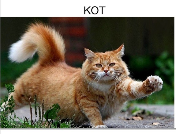 «Плохими KPI можно угробить бизнес»: Борис Дьяконов — о метриках, планах и мертвой птичке 3 «Плохими KPI можно угробить бизнес»: Борис Дьяконов — о метриках, планах и мертвой птичке 3