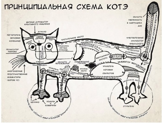 «Плохими KPI можно угробить бизнес»: Борис Дьяконов — о метриках, планах и мертвой птичке 5 «Плохими KPI можно угробить бизнес»: Борис Дьяконов — о метриках, планах и мертвой птичке 5