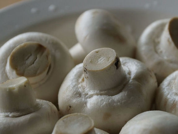 Дайджест DK.RU в Нижнем Новгороде: закрытие "Райцентров" и шампиньоны за 1,5 миллиарда 4 Дайджест DK.RU в Нижнем Новгороде: закрытие "Райцентров" и шампиньоны за 1,5 миллиарда 4