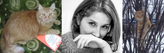 Коты бизнес-сообщества. Новосибирские предприниматели рассказали, как стать их любимцем 7 Коты бизнес-сообщества. Новосибирские предприниматели рассказали, как стать их любимцем 7