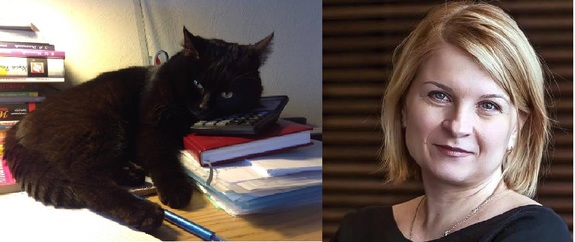 Коты бизнес-сообщества. Новосибирские предприниматели рассказали, как стать их любимцем 5 Коты бизнес-сообщества. Новосибирские предприниматели рассказали, как стать их любимцем 5