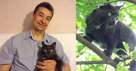 Коты бизнес-сообщества. Новосибирские предприниматели рассказали, как стать их любимцем 3 Коты бизнес-сообщества. Новосибирские предприниматели рассказали, как стать их любимцем 3