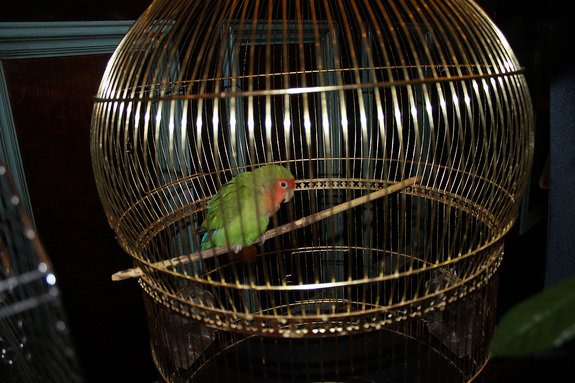 Ресторанная критика Якова Можаева: ресторан грузинской кухни «Хмели Сунели» 6 Ресторанная критика Якова Можаева: ресторан грузинской кухни «Хмели Сунели» 6