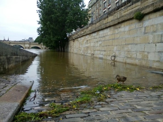 Наводнение в Париже 2016: фотографии катастрофы в красивейшем городе мира. РЕАЛЬНЫЕ ФОТО 6 Наводнение в Париже 2016: фотографии катастрофы в красивейшем городе мира. РЕАЛЬНЫЕ ФОТО 6