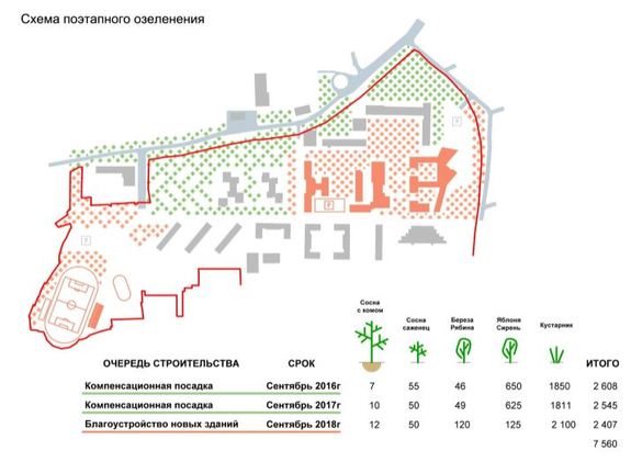 Непрерывный «зеленый коридор»: Студгородок Красноярска наполнят скверами 7 Непрерывный «зеленый коридор»: Студгородок Красноярска наполнят скверами 7