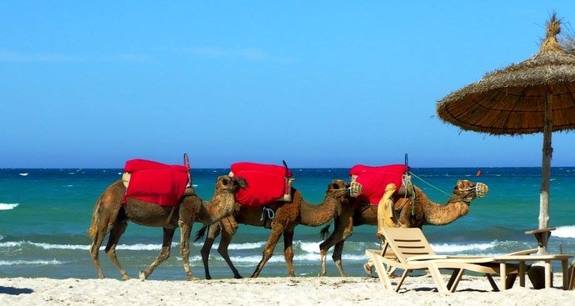 Тунис: И снова здравствуйте! 5 Тунис: И снова здравствуйте! 5