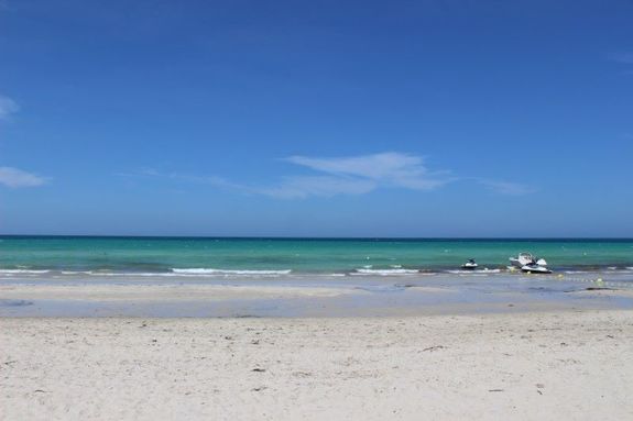 Тунис: И снова здравствуйте! 6 Тунис: И снова здравствуйте! 6