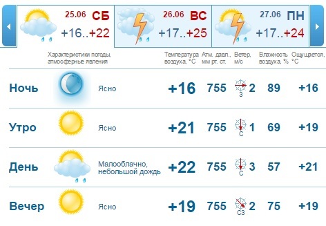 Погода на выходные, 25-26 июня, в Нижнем Новгороде: воскресенье поддаст жару 1 Погода на выходные, 25-26 июня, в Нижнем Новгороде: воскресенье поддаст жару 1